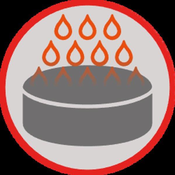 Gaggia ESPRESSO EVOLUTION (BLACK)